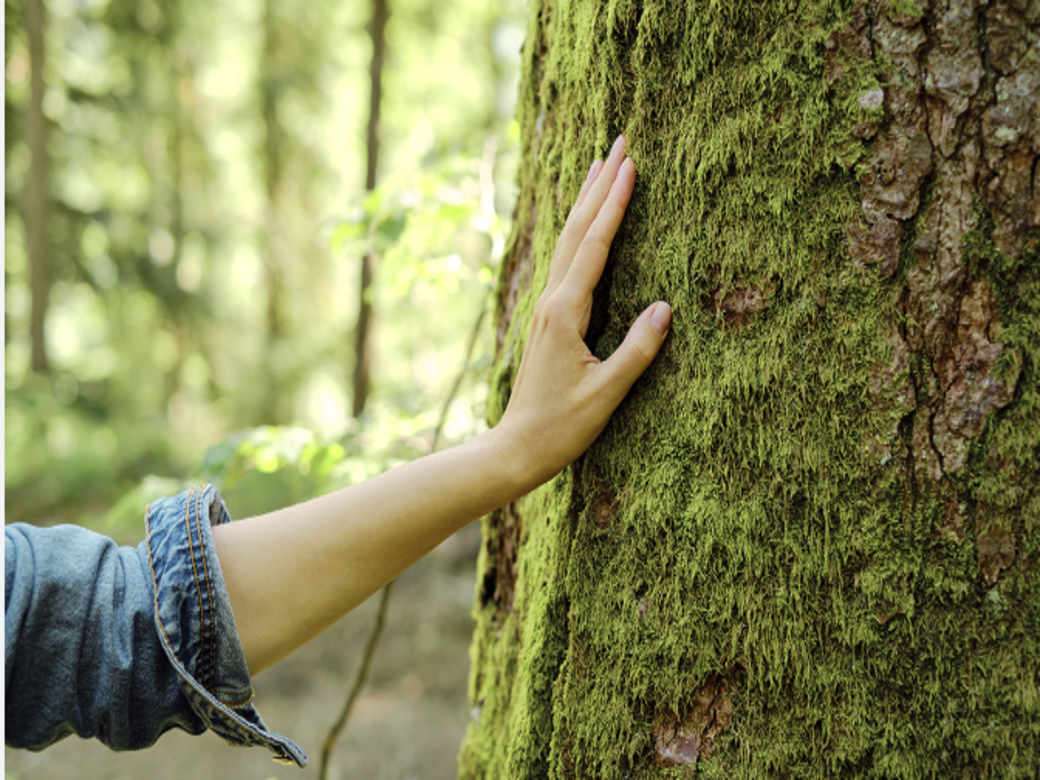 Cherokee Nation’s Environmental Leadership