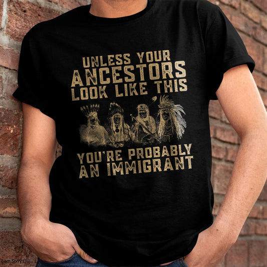 American Indian You're Probably An Immigrant T-Shirt